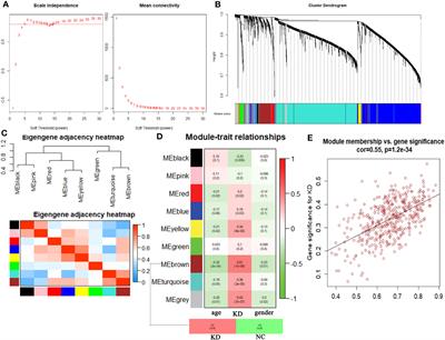 Integration of scRNA-Seq and bulk RNA-Seq uncover perturbed immune cell types and pathways of Kawasaki disease